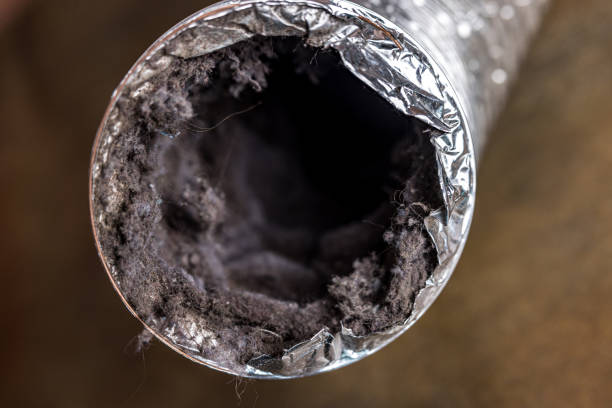 Best Air Duct Cleaning Near Me  in , TX